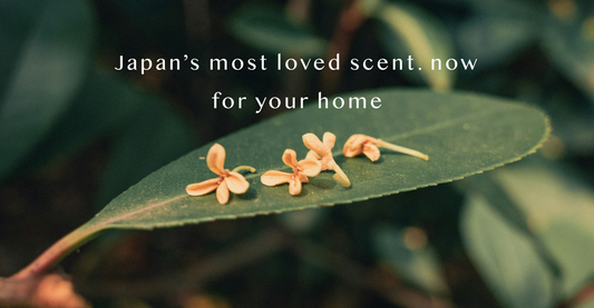 Best Unique Japanese Home Fragrance: Osmanthus