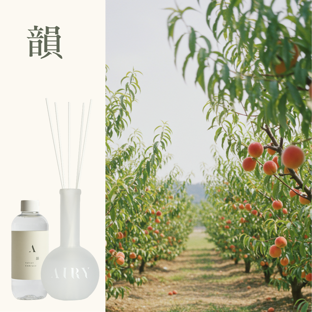 Mystery Airy Diffuser – The Mood Drop