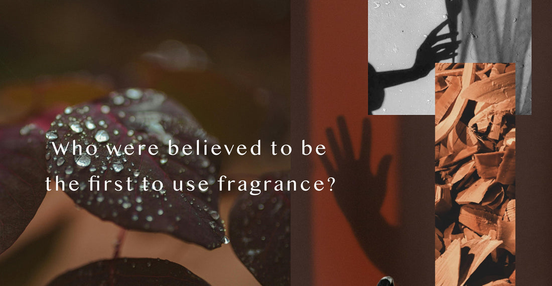The Hidden Rituals of Japanese Fragrance: From Kyphi to Kōdō
