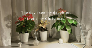 Airy Lounge: Part 10 | The Day That Matters: Curating an Authentic Christmas in Solitude