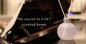 Everything You Should Know About Reed Diffusers: How They Actually Work
