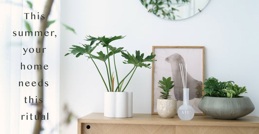 Luxury summer home fragrance featuring the AIRY Velvet Embrace reed diffuser with stone fruit peach and jasmine notes styled in a minimalist Japanese entryway for an Omotenashi hospitality ritual