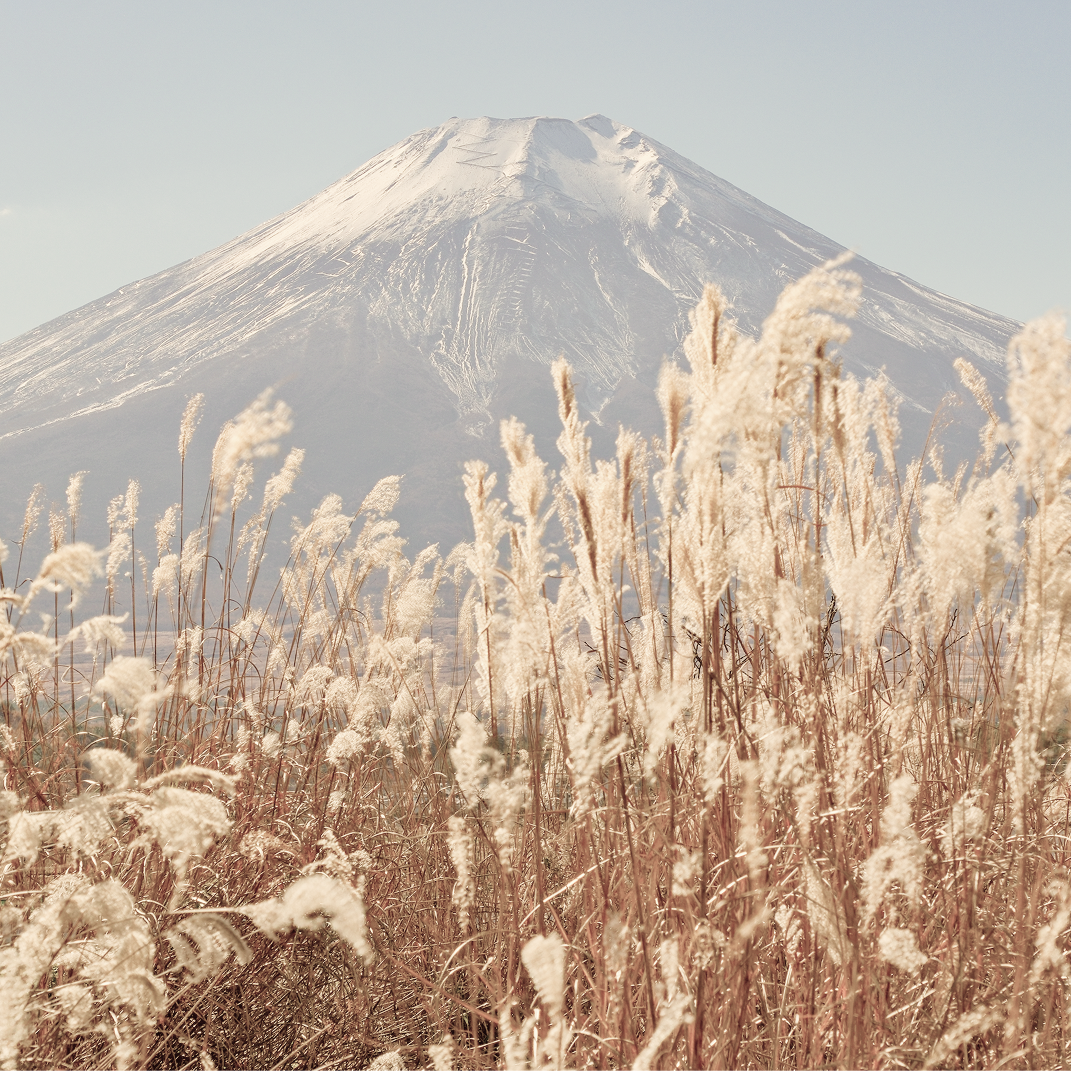 AIRY® Fragrances | Luxury Japanese Reed Diffusers for Designer Homes ...