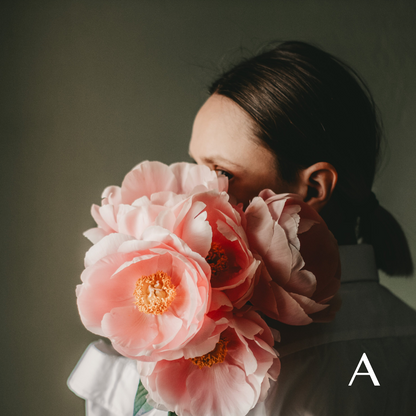 Mystery Airy Diffuser – The Mood Drop