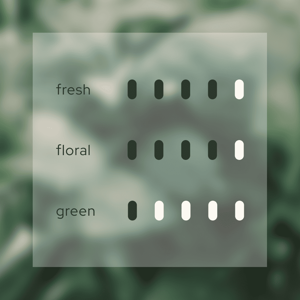 Fragrance intensity chart for Blissful Harmony 悦 reed diffuser. It is rated as high for fresh and floral notes, and medium-high for green notes, indicating a vibrant and room-filling scent profile for Airy Fragrances.