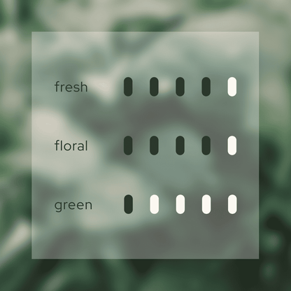 Fragrance intensity chart for Blissful Harmony 悦 reed diffuser. It is rated as high for fresh and floral notes, and medium-high for green notes, indicating a vibrant and room-filling scent profile for Airy Fragrances.