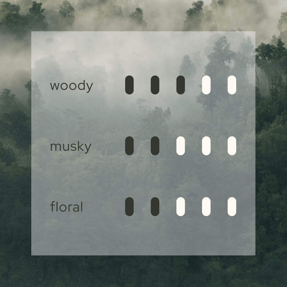 Scent intensity scale for Forest Breath 森 luxury diffuser refill. Visual guide showing a dominant 'Woody' profile supported by high 'Musky' and 'Floral' notes. This 250ml Japanese-crafted refill delivers the exact award-winning Nagano Hinoki and Sandalwood aroma found in the original set