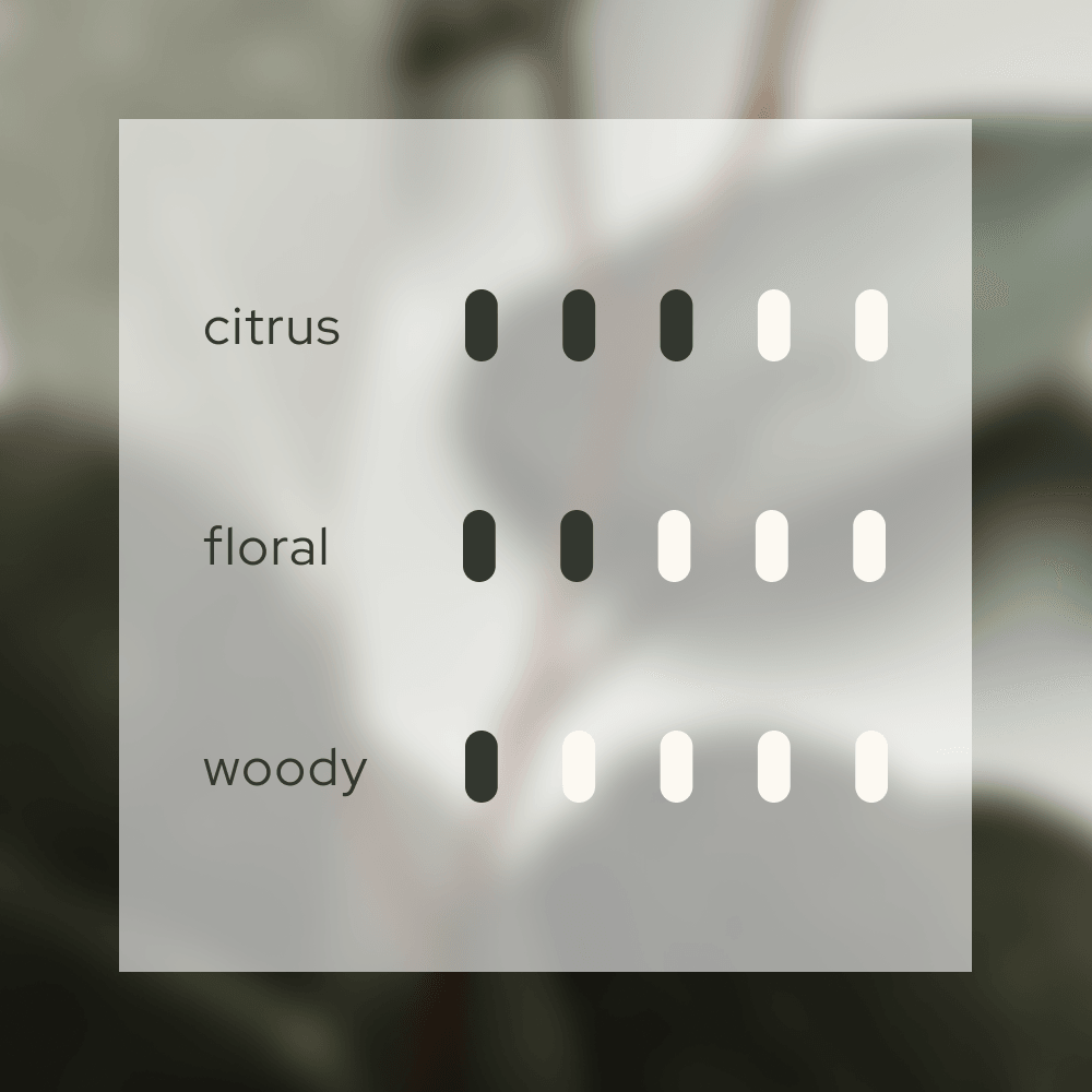 Scent intensity scale for Serene Solstice 寧 luxury diffuser refill. Visual profile showing a balance of fresh citrus top notes, a clarified Chiba rose floral heart, and a subtle woody olibanum base. This 250ml alcohol-free refill maintains the exact premium aroma found in the original Japanese-crafted set.