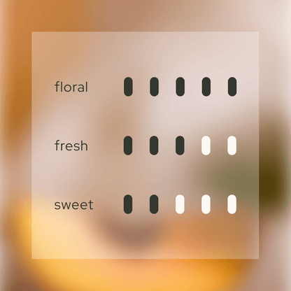 Velvet Embrace 韻 Diffuser Refill (with 8 Reeds) - Airy Fragrances